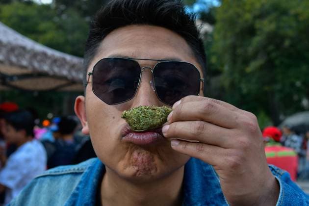 World Cannabis Day in State of Mexico April 20 , 2023 Toluca , Mexico : Thousands of young people and adults took to the streets of the city where they participated in the 5th cannabis walk in commemoration of World Cannabis Day, demanding its legalization as a plant for recreational purposes. on April 20, 2023 in Toluca, MÃ xico. (Photo by Arturo Hernandez Eyepix Group) Copyright: xArturoxHernandezx xEyepixxGroupx AH_200423_04