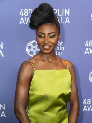 NY: 48th Chaplin Award Gala Honoring Viola Davis Jayme Lawson wearing dress by Prada attends the 48th Chaplin Award Gala honoring Viola Davis at Alice Tully Hall New York New York United States Copyright: LevxRadin