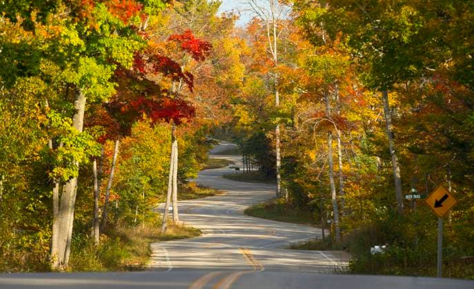 Fall colors on winding road. Gills Rock, Wisconsin, United States R_JEPH230314-1152530-01