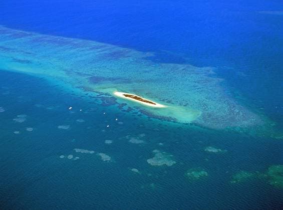  Luftaufnahme von Michaelmas Cay vor der Küste von Cairns Queensland Australien *** Aerial view from Michaelmas Cay before the Coast from Cairns Queensland Australia Copyright: imageBROKER/HideoxKurihara iblrjc09197500.jpg