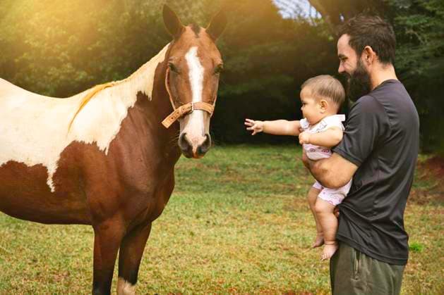 IMAGO Creative, Kinder auf dem Reiterhof Vater mit Baby in seinen Armen auf einem Bauernhof neben einem Pferd. Licht des Sonnenuntergangs. Vater und Tochter Tag *** Father with Baby in its Poor at a Farm next to a Horse Light of Sunset Father and Subsidiary Day Copyright: imageBROKER/MariaxDanielaxRomero ibxktg09232251.jpg ,model released, Symbolfoto ,property released