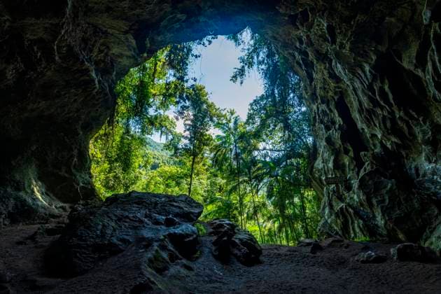 Santana Höhle, Unesco Stätte Atlantischer Wald Süd Ost Reservate, Touristischer Staatspark Alto Ribeira, Staat Sao Paulo, Brasilien, Südamerika *** Santana Cave, Unesco Site Atlantic Forest South East Reserves, Tourist State Park Alto Ribeira, State Sao Paulo, Brazil, South America Copyright: imageBROKER MichaelxRunkel ibxrun09241599.jpg
