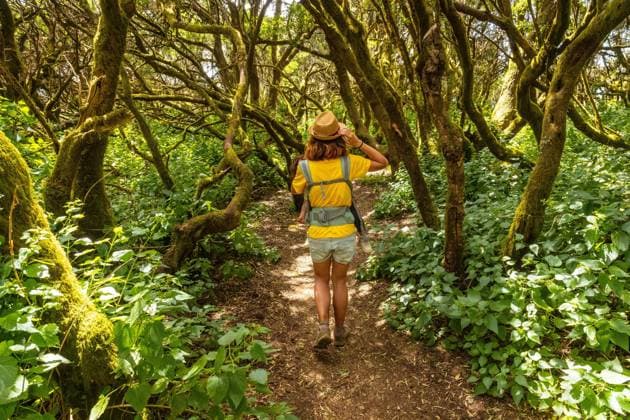 a Young one Girls walked in El Brezal, the humid Forest Park from La LLania at El Hierro, Canary Islands Islands Copyright: imageBROKER/UnaixHuizi ibxuhu09218740.jpg ,model released, Symbolfoto ,property released