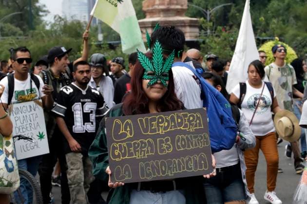 World Day for the Liberation of Marijuana in Mexico May 6, 2023, Mexico City, Mexico: Cannabis and marijuana users participate in the XXIII World Day March for the Liberation of Marijuana in Mexico in Mexico City. on May 6, 2023 in Mexico City, Mexico (Photo by Luis Barron Eyepix Group). Copyright: xLuisxBarronx xEyepixxGroupx LB_20230506_CANABIS10