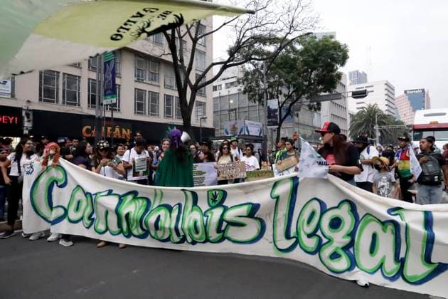 World Day for the Liberation of Marijuana in Mexico May 6, 2023, Mexico City, Mexico: Cannabis and marijuana users participate in the XXIII World Day March for the Liberation of Marijuana in Mexico in Mexico City. on May 6, 2023 in Mexico City, Mexico (Photo by Luis Barron Eyepix Group). Copyright: xLuisxBarronx xEyepixxGroupx LB_20230506_CANABIS29