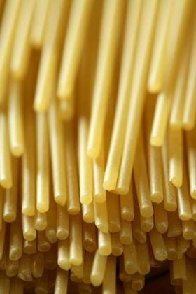 spaghetti macro image at studio with selective focus Copyright: xTONOxBALAGUERx xDesignxPicsx , 30906431 Copyright: TONOxBALAGUERx xDesignxPics 30906431