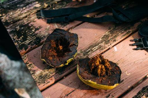 RECORD DATE NOT STATED A closeup of a slice black sapote fruit on a wooden table *** einer closeupe des einer Scheibchen Schwarz sapote Frucht am einer hölzern Tisch 4415793