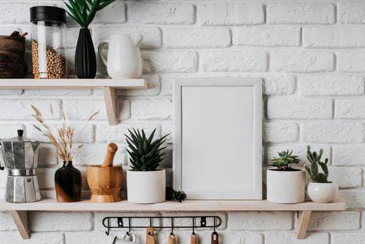 RECORD DATE NOT STATED A closeup of the white shelves decorated with plants and a blank frame *** einer closeupe des der weiß Regale verziert mit Pflanzen und einer blanke Rahmen 5169009