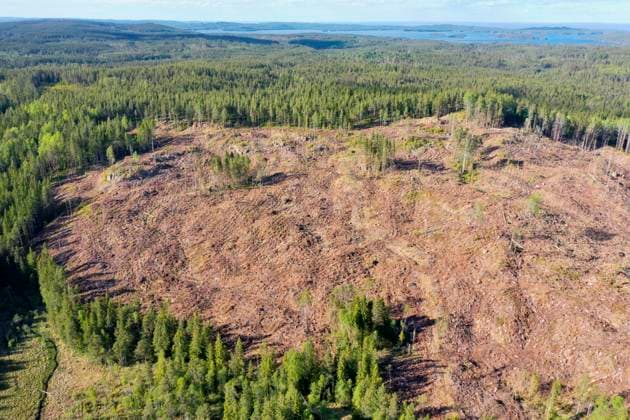 Kahlschlag, Rodung in Schweden, Luftbild, Schweden deforestation, aerial view, Sweden BLWS686666 *** Clearcutting, Grubbing-up in Sweden, Aerial view, Sweden deforestation, Aerial view, Sweden BLWS686666 Copyright: xblickwinkel F.xHeckerx