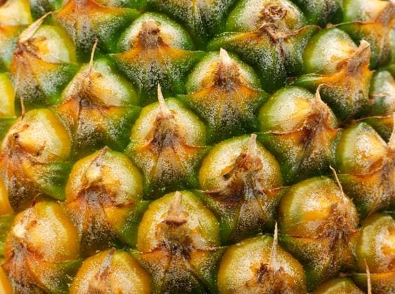 pineapple pine Copyright: xLeungxChoxPanx xDesignxPicsx , 31033484 Copyright: LeungxChoxPanx xDesignxPics 31033484