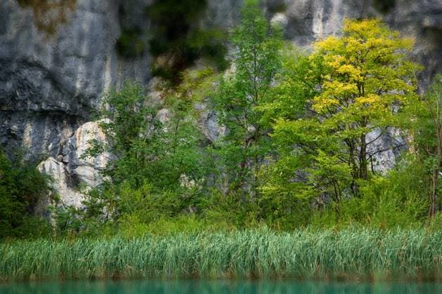Beautiful landscape of a green lake. Soft focus photo Copyright: xGordanxPoropatx xDesignxPicsx , 31090958 Copyright: AxKx xDesignxPics 31090958