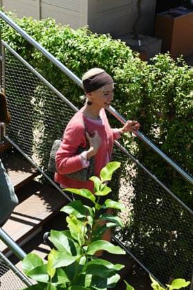 76th Cannes Film Festival 2023, Iris Law at the Martinez hotel  Copyright: xSimonexComix xipa-agency.netx xPoolxPhotoxEventsx01x IPA_IPA37966876