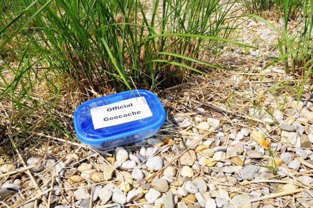 official blue geocache box in nature or forest Copyright: xGunnarxPippelx xDesignxPicsx , 31134774 Copyright: GunnarxPippelx xDesignxPics 31134774