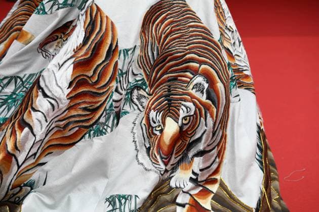 May 16, 2023, Cannes, Cote d Azur, France: Detail of the dress worn by FAN BINGBING as she attends the screening of Jeanne du Barry and Opening Ceremony red carpet for the 76th Annual Cannes Film Festival at Palais des Festivals on May 16, 2023 in Cannes, France Cannes France - ZUMAc179 20230516_zep_c179_288 Copyright: xMickaelxChavetx