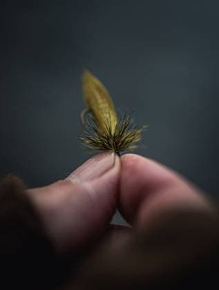 Close up detail photo of artificial fly for fly fishing Pittsburg, New Hampshire, United States CR_BRDO230211C-1125387-01