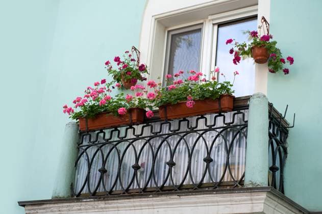 old balcony with flowers. Sankt-Peterburg Copyright: xAleksandrxLychaginx xDesignxPicsx , 31197114 Copyright: AleksandrxLychaginx xDesignxPics 31197114