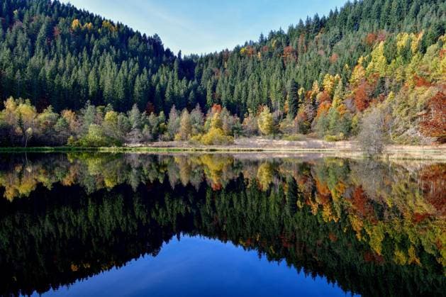 IMAGO Creative, Jahreszeit Herbst auf dem Land Bäume spiegeln sich im Sankenbachsee, Karsee, Herbst, bei Baiersbronn, Landkreis Freudenstadt, Schwarzwald, Baden-Württemberg, Deutschland, Europa *** Trees mirror itself at Sankenbach Lake, Karsee, Autumn, at Baiersbronn, County Freudenstadt, Black Forest, Bathing Württemberg, Germany, Europe Copyright: imageBROKER/FabianxvonxPoser ibxfvp07162200.jpg