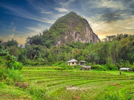 IMAGO Cultures of the world, Toraja Volk in Indonesien RECORD DATE NOT STATED Indonesia, Tribal island of Sulawesi, Celebes Island, Tana Toraja *** Indonesia, Tribal Insel des Sulawesi, Celebes Island, Tana Toraja 726081