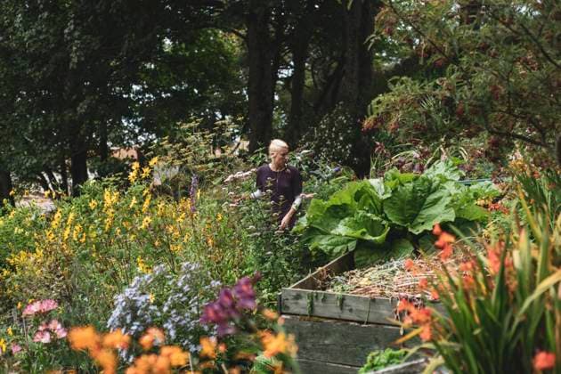 IMAGO Creative: Sommer, Sommertage im Garten girl works in beautiful colourful english garden in summer Gruinard, Scotland, United Kingdom CR_PIDODS230202-857229-01 ,model released, Symbolfoto