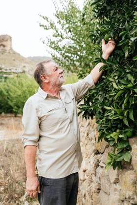 MR_ID14425_13564_JenaroIbanez.jpg Concentrated bearded mature male gardener in casual clothes touching ripe lime growing on green lush tree while working on farm on cloudy day, Model released EncrudoStudio_ID14425_432928_008 Copyright: xEncrudoxStudiox MR