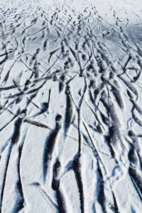 Many different trails on catch lake covered snow in winter RobertKohlhuber_MiscAugust_116 Copyright: xRobertxKohlhuberx RECORD DATE NOT STATED Model Released