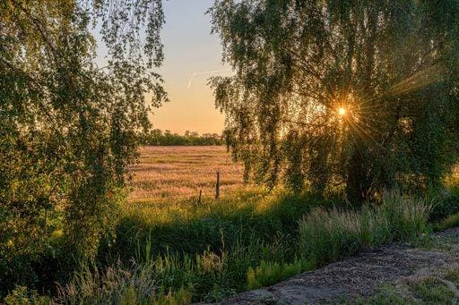 A scenic view of the sunset over the fields next to the road in Dromling *** einer landschaftlich Ansicht des der Sonnenuntergang trueber der Felder nächsten an der Verkehrsstrasse ÊIn Dromling 7401879 RECORD DATE NOT STATED