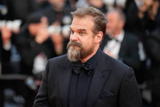 The Elemental Red Carpet Premiere at the 76th Edition of the Cannes Film Festival David Harbour attends the movie screening and red carpet event for Elemental , directed by Peter Sohn, during the 76th edition of the Cannes Film Festival on May 27 2023, in Cannes, France Cannes Palace of Festivals and Congresses of Cannes Cannes France Copyright: xAlexandraxFechetex _ADR8423