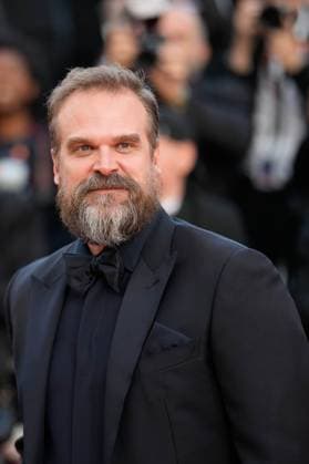 The Elemental Red Carpet Premiere at the 76th Edition of the Cannes Film Festival David Harbour attends the movie screening and red carpet event for Elemental , directed by Peter Sohn, during the 76th edition of the Cannes Film Festival on May 27 2023, in Cannes, France Cannes Palace of Festivals and Congresses of Cannes Cannes France Copyright: xAlexandraxFechetex _ADR8535