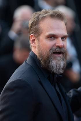 Elemental Screening and Closing Ceremony Red Carpet - The 76th Annual Cannes Film Festival CANNES, FRANCE - MAY 27: David Harbour attends the Elemental screening and closing ceremony red carpet during the 76th annual Cannes film festival at Palais des Festivals on May 27, 2023 in Cannes, France Cannes France  Copyright: xLucaxCarlinox originalFilename: carlino-notitle230527_npzIA.jpg