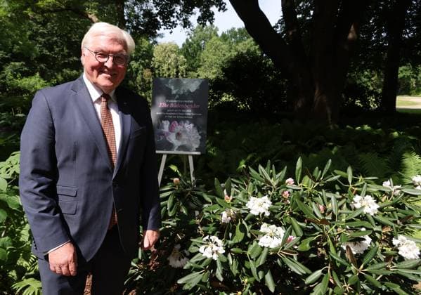 News Themen der Woche KW22 News Bilder des Tages Energie Mecklenburg 31.05.2023, Germany, Berlin, Schloss Belevue, Park,Bundespraesident Frank Walter Steinmeier tauft die Rhododendron Neuzuechtung aus dem Hause der Familie Bruns im Ammerland, Niedersachsen, in seinem Schlosspark auf den Namen Elke Buedenbender. In Anwesenheit der britischen Botschafterin und der Landraetin von Ammerland , Harms Berlin Berlin Germany *** Energy Mecklenburg 31 05 2023, Germany, Berlin, Schloss Belevue, Park,German President Frank Walter Steinmeier christens the rhododendron new cultivation from the house of the Bruns family in Ammerland, Lower Saxony, in his castle park in the name of Elke Buedenbender In the presence of the British Ambassador and the Landraetin of Ammerland , Harms Berlin Berlin Germa