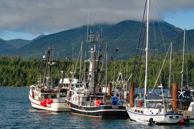small Fischer and Leisure boats at Port, hoh, green Mountain trains, Ucuelet, Coast, Pacific, British Columbia, Canada, North America Copyright: imageBROKER/ReinhardxPantke ibxrpa09311204.jpg