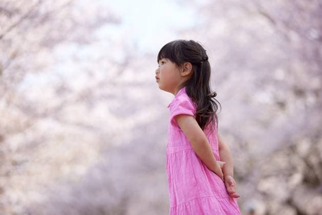 Japanese kid portrait with blooming cherry blossoms AFLO204030258  , 204030258.jpg, ,model released, Symbolfoto