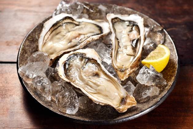 Oysters AFLO212747414  , 212747414.jpg,