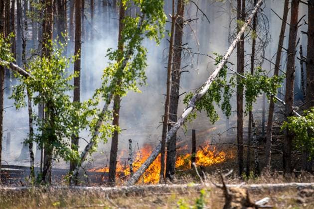 Waldbrand in Jüterbog breitet sich auf 150 Hektar aus, Bei dem Waldbrand bei Jüterbog verschärfte der aufkommende Wind und die warmen Temperaturen am Wochenende die Lage am Brandort. Das Feuer hatte sich bis zum Sonntagnachmittag auf ca. 150 Hektar ausgedehnt. Die Feuerwehr Jüterbog war mit zahlreichen Kräften im Einsatz und löschte vom Weg aus partiell die Brandherde ab, nach wie vor kann die Feuerwehr nur eingeschränkt vom Boden aus löschen, aufgrund der vorhandenen Munitionsverdachtsflächen auf dem gesamten Gebiet. Jüterbog Brandenburg Deutschland *** Forest fire in Jüterbog spreads to 150 hectares, In the forest fire near Jüterbog, the emerging wind and warm temperatures at the weekend exacerbated the situation at the site of