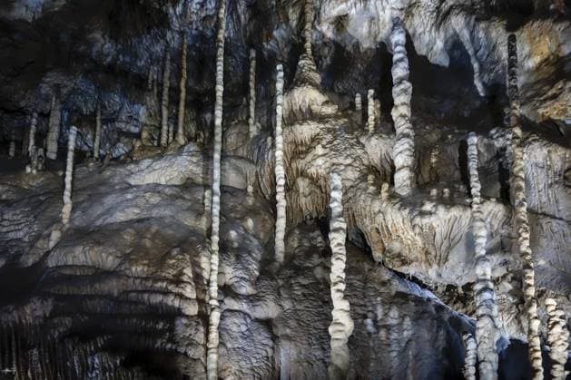 Stalactites, Stalagmites and Pillars in the Limestone cave the Caves from Han sur Lesse, Grottes de Han, Belgian Ardennes, Belgium, Europe Copyright: imageBROKER alimdix xArterra ibltsm09327182.jpg