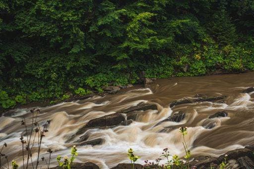 A scenic view of a river flowing through a green forest in the Bieszczady mountains, Poland *** einer landschaftlich Ansicht des einer Fluß fließende durch einer Grün Wald ÊIn der Bieszczady mountains, Polen 9600562 RECORD DATE NOT STATED