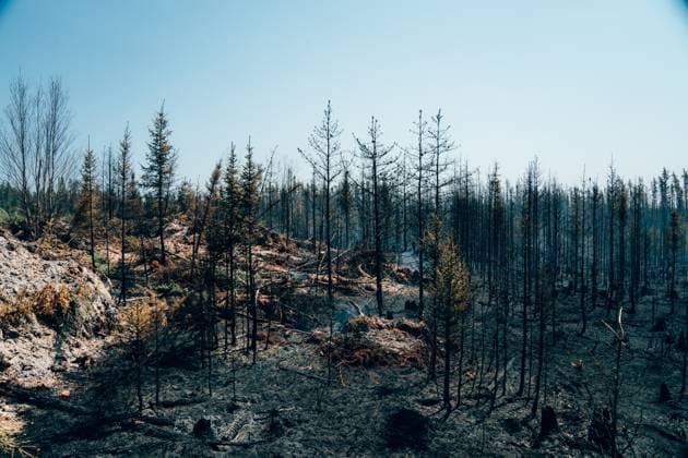 Wildfires Burning - Quebec Handout picture, dated on June 2, 2023 in Chapais, Quebec, Canada. Members of SOPFEU, Socià tà de Protection Des Forets Contre Le Feu, (Forest Fire Protection Company) fight forest fires burning in Quebec, Canada. With more than nine million hectares of land burnt, more than 20,000 residents evacuated and at least 400 fires still active, half of which are thought to be out of control, a series of staggering figures revealed on Wednesday by Canada s Minister of Emergency Preparedness, Bill Blair, show that the country is facing an unprecedented battle against raging forest fires. Ten new forest fires broke out in Canada on Friday, bringing the total number of forest fires in the country so far this year to 2,405, Copyright: xABACAx 856477_017 ABACAx 856477_017