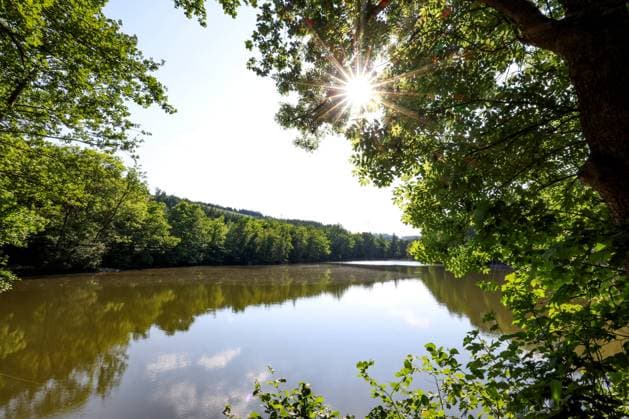 Traumhaftes Fruehlingswetter (Frühlingswetter) mit sehr warmen Temperaturen. Die Sonne strahlt am Abend vom wolkenlosen Himmel durch die Baeume (Bäume) wie hier am Rabensteins Weiher Naehe (Nähe) Siegen-Seelbach. Fruehling im Siegerland am 12.06.2023 in Siegen Deutschland. *** Dreamlike spring weather Spring weather with very warm temperatures The sun shines in the evening from the cloudless sky through the trees Trees like here at the Rabensteins Weiher near Siegen Seelbach spring in the Siegerland on 12 06 2023 in Siegen Germany