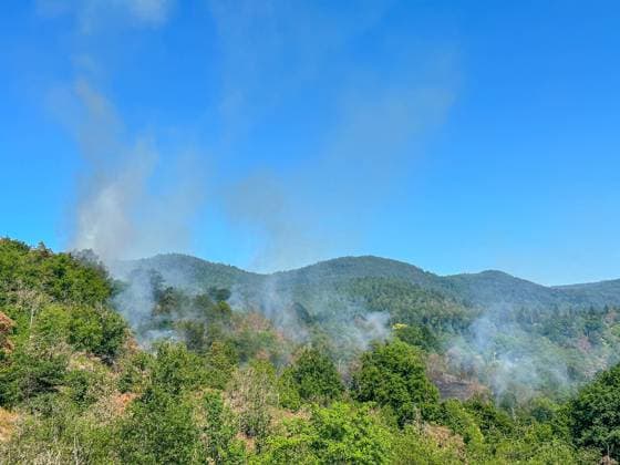 News Themen der Woche KW24 News Bilder des Tages Größerer Waldbrand bei Gaggenau: Zwei Hektar Waldstück und Wiese bei Gaggenau steht in Flammen - Windböen sorgen für rasche Brandausbreitung - schwere Zugänglichkeit und Hanglage erschwert die Löscharbeiten für die Feuerwehr - Hubschrauber der Pol Weithin sichtbar war die Rauchwolke am Dienstagnachmittag über Gaggenau im Landkreis Rastatt. In einem Waldstück mit angrenzender Wiese ist ein Feuer ausgebrochen. Die Feuerwehr konnte den Brand aufgrund der beengten Zugänglichkeit und der Hanglage nur schwer erreichen. *** Larger forest fire near Gaggenau Two hectares of forest and meadow near Gaggenau is in flames Wind gusts ensure rapid fire spread difficult access and slope location complicates the firefighting work for the fire Copyright: xEinsatzReport24x xHenryxMungenastx