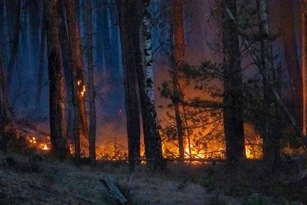 Ein seichtes Aufatmen in der Krisenregion Lübtheen. Nachdem am Montagabend ein großer Waldbrand mit über 100 Hektar ausgebrochen ist, atmen die Einsatzkräfte in den späten Abendstunden etwas auf. Trotz starkem Wind breitet sich das Feuer nicht weiter aus. Die Waldbrandschneisen sie wurden nach dem schlimmen Waldbrand 2019 geschlagen halten. Dennoch lodern am Schneisenrand immer wieder Flammen auf. Die Feuerwehr ist die ganze Nacht im Einsatz und löscht die aufflammenden Brände ab. Die gute Nachricht, der Brand ist eingedämmt, breitet sich vorerst nicht aus. Jedoch auch am Abend ist keine einzige Wolke am Himmel. Die Bauern bewässern ihre Felder im Abendlicht. Was sich alle Wünschen ist Regen. Lübtheen Mecklenburg-Vorpomm