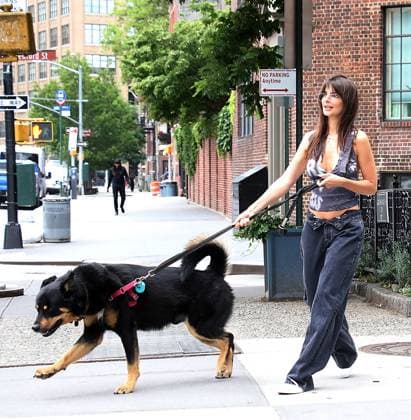 Entertainment Themen der Woche KW24 Entertainment Bilder des Tages NEW YORK, NY- JUNE 15: Emily Ratajkowski seen walking her dog Colombo in Soho on June 15, 2023 in New York City. Copyright: xRWx