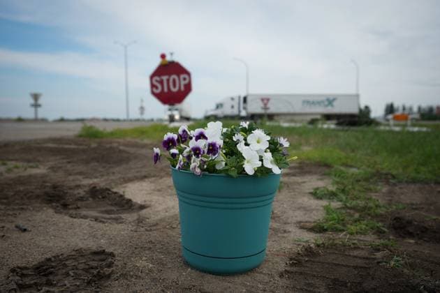 News Bilder des Tages Kanada, Tote nach Bus-Unglück in Winnipeg June 16, 2023, CARBERRY, MB, CANADA: Flowers that were left by a person are seen on the side of the road where the Trans-Canada Highway intersects with Hwy 5, west of Winnipeg near Carberry, Man., Friday, June 16, 2023, where a semi and a bus carrying seniors collided on Thursday. Police said 15 people were killed and 10 more were sent to hospital. CARBERRY CANADA - ZUMAc35_ 20230616_zaf_c35_040 Copyright: xDarrylxDyckx