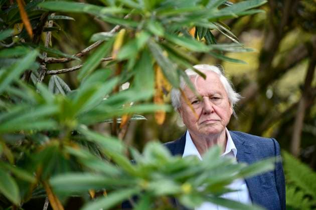 GOTHENBURG 2018-09-06 Sir David Attenborough is seen at the Botanical gardens in Gothenburg, Sweden on Thursday. Sir Attenborough is in Sweden to accept an award during the annual The Perfect World Foundations dinner. Foto Björn Larsson Rosvall TT kod 9200 GÖTEBORG Sweden x9200x *** GOTHENBURG 2018 09 06 Sir David Attenborough is seen at the Botanical gardens in Gothenburg, Sweden on Thursday Sir Attenborough is in Sweden to accept an award during the annual The Perfect World Foundations dinner Foto Björn Larsson Rosvall TT kod 9200 GÖTEBORG Sweden x9200x  Copyright: xBjörnxLarssonxRosvallx xTTx DAVID ATTENBOROGH IN SWEDEN