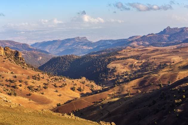Creative Highlights World landscape of Bale Mountain, Ethiopia wilderness Landscape of the Ethiopian Bale Mountains National Park. Ethiopia, Africa wilderness pure nature. Morning sunrise day with blue sky. Copyright: xZoonar.com ARTUSHx 16426405