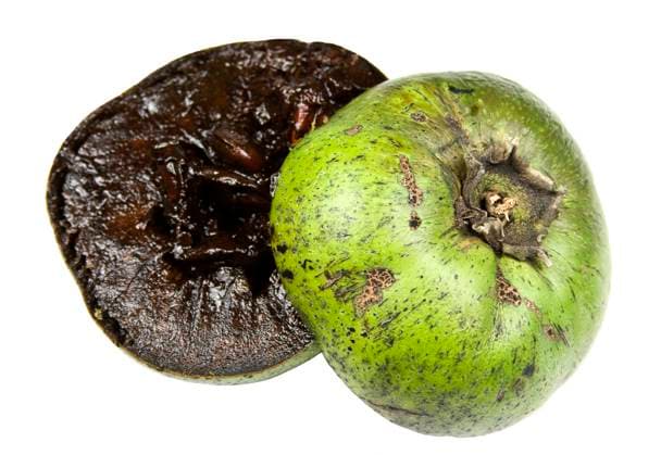 Black sapote or chocolate pudding fruit also called kaki, mabolo or Japanese persimmon Copyright: xAntonioxRibeirox xDesignxPicsx , 31780242 Copyright: AntonioxRibeirox xDesignxPics 31780242 !ACHTUNG AUFNAHMEDATUM GESCHÄTZT! RECORD DATE NOT STATED