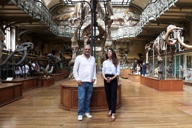 Restored Durfort Mammoth At National Museum Of Natural History - Paris Xavier Llerena, Restorer of Works of Art and Catherine Crocq, head of the restoration division. Unveiling of the restored Durfort mammoth at the National Museum of Natural History in Paris. An emblematic figure in the Gallery of Paleontology and Comparative Anatomy of the Museum, where it has been presented for nearly 150 years, the skeleton of the Durfort mammoth is also the only French specimen mounted and exhibited, on June 27, 2023 in Paris. Photo by Christophe Michel ABACAPRESS.COM PARIS ILE DE FRANCE France  Copyright: xMichelxChristophe ABACAx 858586_033 MichelxChristophe ABACAx 858586_033