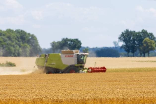 News Bilder des Tages Mähdrescher auf Feld Ein Mähdrescher fährt auf einem Feld bei Weißig im Landkreis Meißen. Dabei wird das Korn gedrescht, dass auf dem Feld angebaut wurde. Weißig Sachsen Deutschland *** Combine harvester in a field A combine harvester drives in a field near Weißig in Meißen County Threshing the grain that was grown in the field Weißig Saxony Germany Z5192