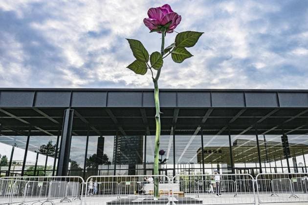 Entertainment Themen der Woch KW26 Bilder des Jahres 2023, Entertainment 06 Juni Rose von Isa Genzken vor der Neuen Nationalgalerie *** NUR FÜR REDAKTIONELLE ZWECKE *** EDITORIAL USE ONLY ***<p>Eine überdimensionale Rose der Bildhauerin Isa Genzken steht vor der Neuen Nationalgalerie. Die Neue Nationalgalerie ehrt Isa Genzken anlässlich ihres 75. Geburtstags mit der Ausstellung Isa Genzken. 75 75 und zeigt 75 Skulpturen aus allen Schaffensphasen der deutschen Künstlerin von den 1970er-Jahren bis heute. Zu sehen sind unter anderem Hauptwerke wie das 10 Meter lange Blau-grau-gelbes Hyperbolo ˜MBB™ (1981), Atelier (1990), Venedig (1993), Nofretete Das Original (2012) oder Schauspieler (2013), fotografiert am 29. Juni 2023 in Berlin. Deutschland Berlin Berlin Copyright: Mauriz Copyright: MaurizioxGambarini doc7qv95q56tjs7neyobsi ,EDITORIAL USE ONLY