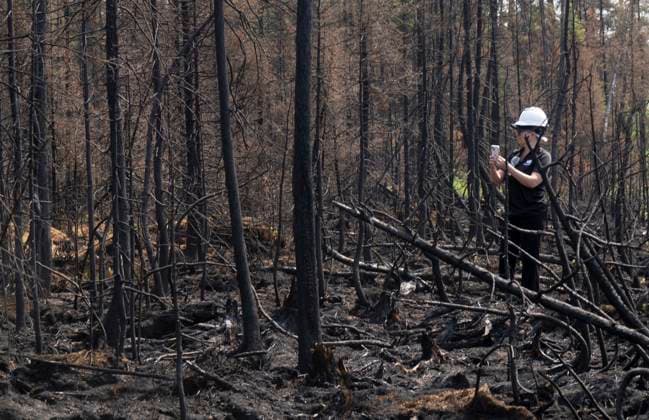 July 5, 2023, Lebel-sur-Quevillon, PQ, Canada: A reporter takes a photo of the damage to a forest from fire during a tour of damage near Lebel-sur-Quevillon, Que., Wednesday, July 5, 2023. Lebel-sur-Quevillon Canada  - ZUMAc35_ 20230705_zaf_c35_026 Copyright: xAdrianxWyldx