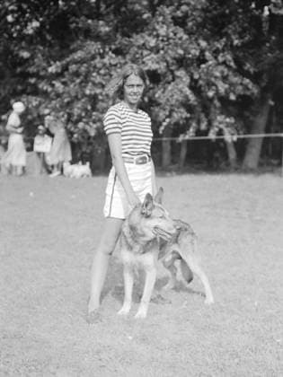 RECORD DATE NOT STATED Dog show, East Hampton, Long Island, between 1933 and 1942. Creator: Arnold Genthe. Copyright:x HeritagexImagesx IMAGO ,2956423 ! ACHTUNG: AUFNAHMEDATUM GESCHÄTZT!  Copyright: HeritagexImagesx IMAGO